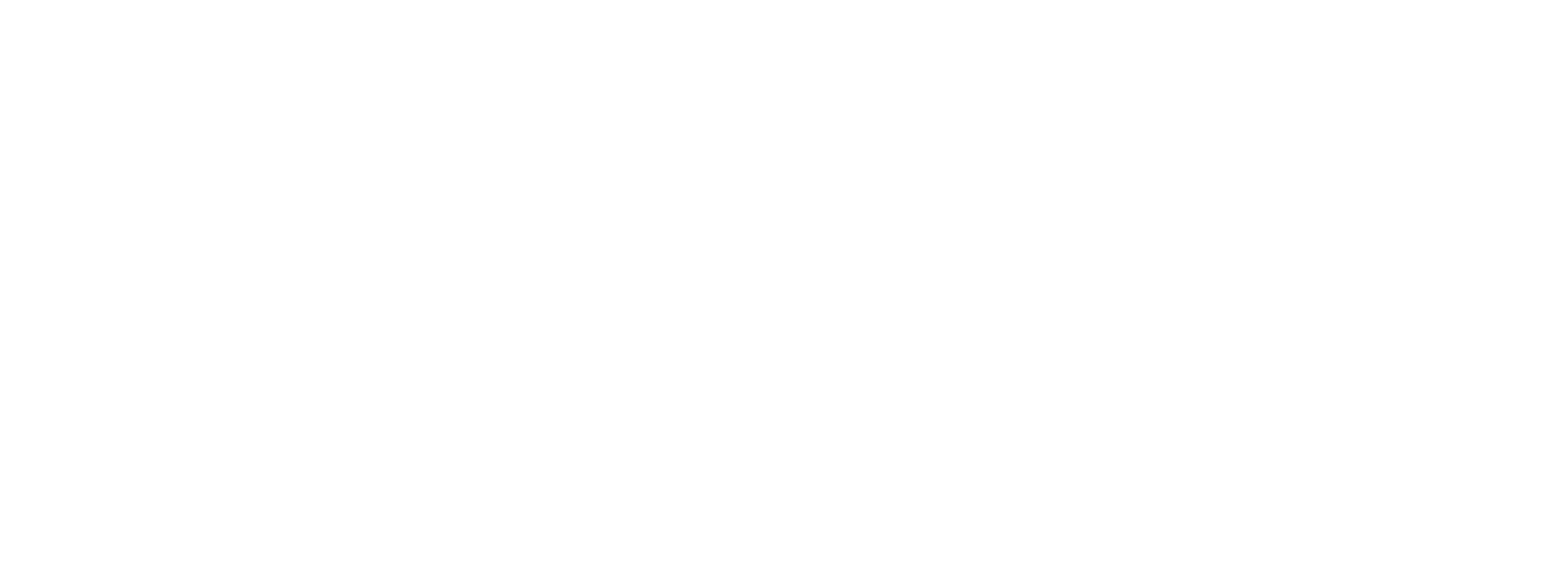 Logo Zierau transparent Weiss full