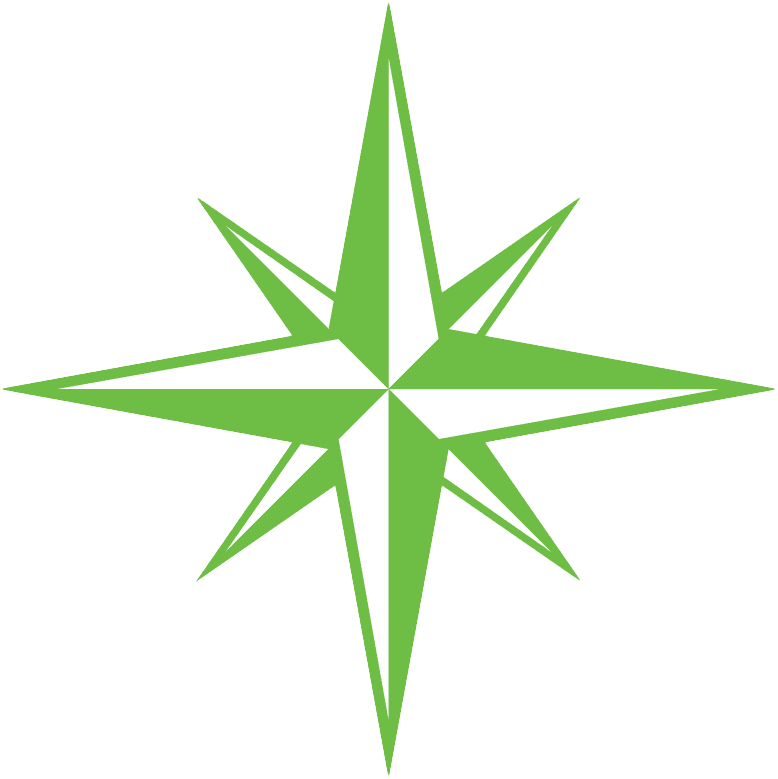 Logo Zierau Stern 1x1 transparent