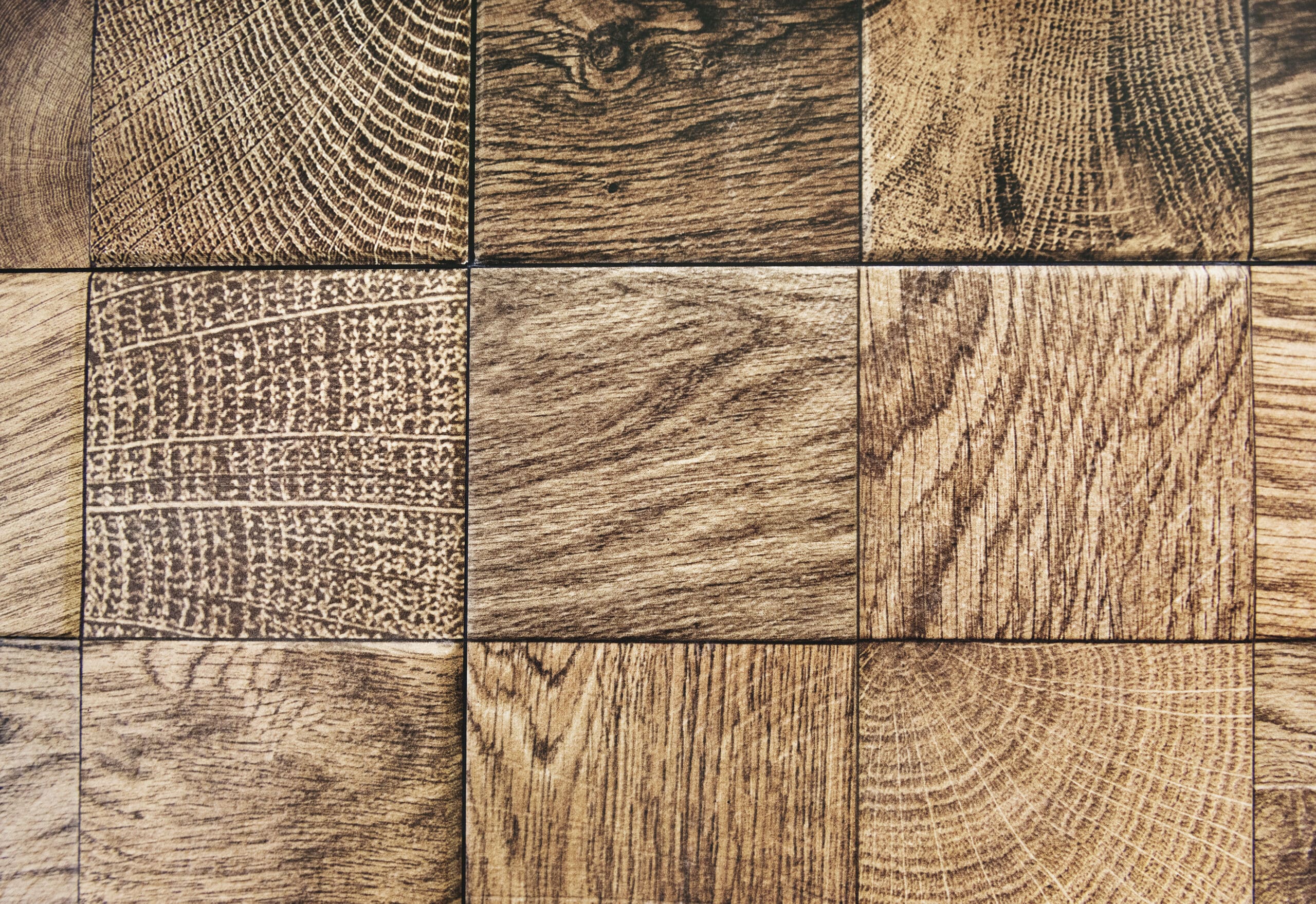 Verschiedene Holzarten im Vergleich mit unterschiedlichen Maserungen und Strukturen